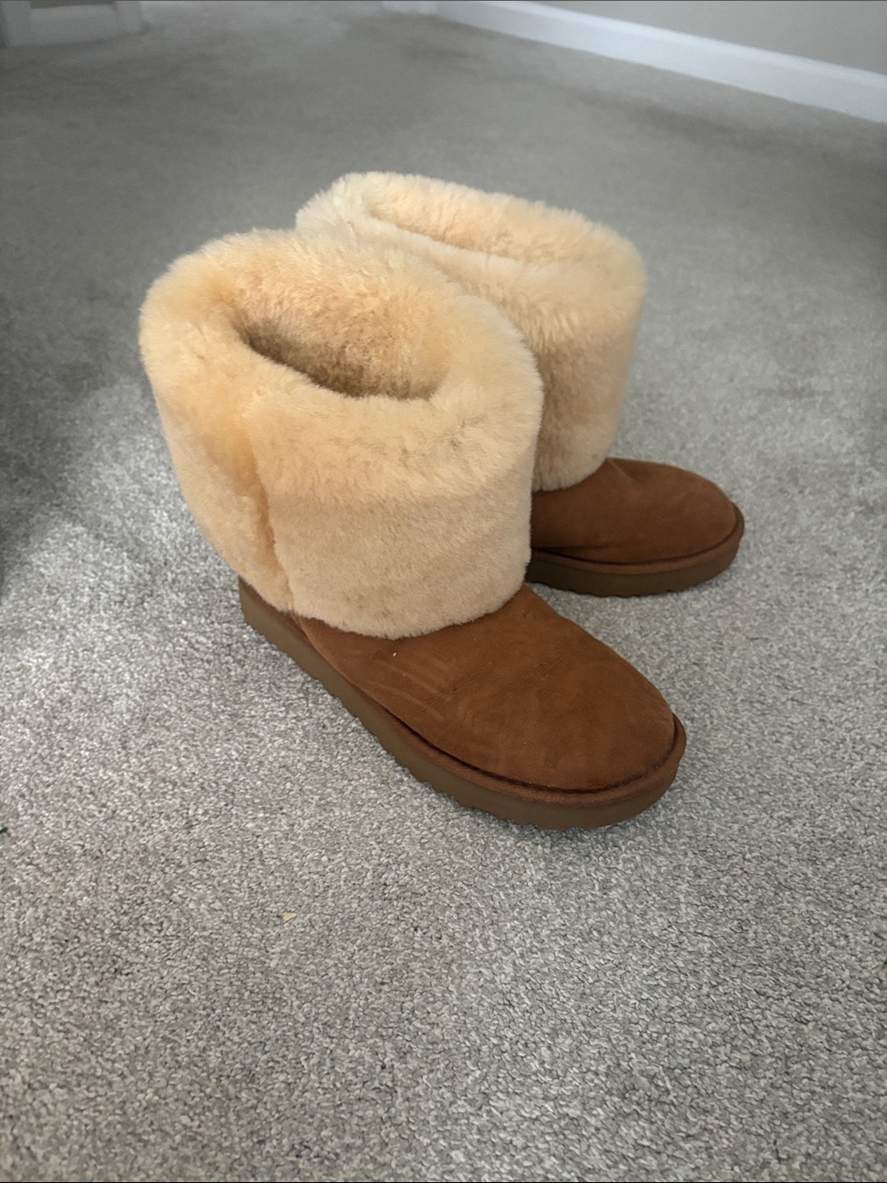 Tall chestnut Uggs